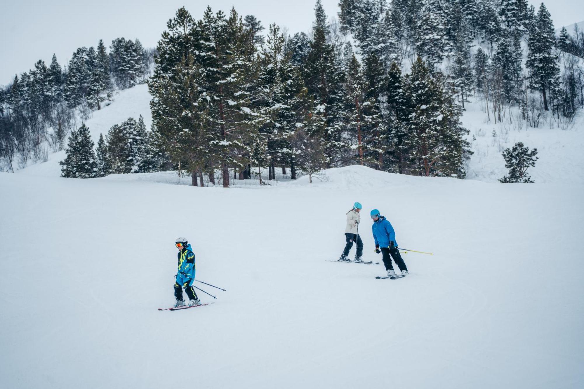 Bjornfjell Mountain Lodge Alta Dış mekan fotoğraf